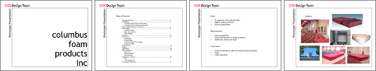Design 573 Project Example